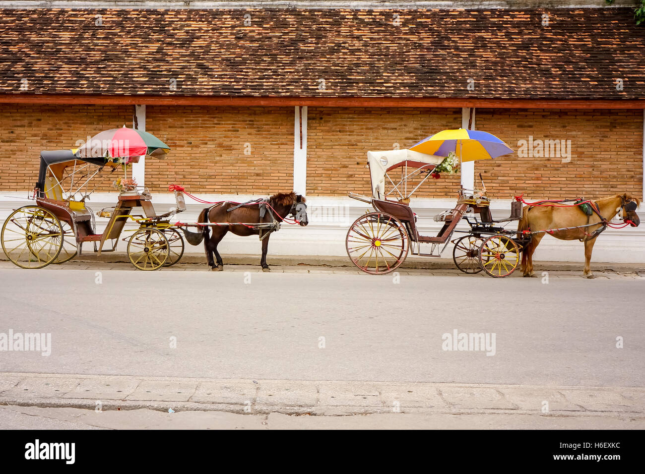 Two wheel horse cart hires stock photography and images Alamy