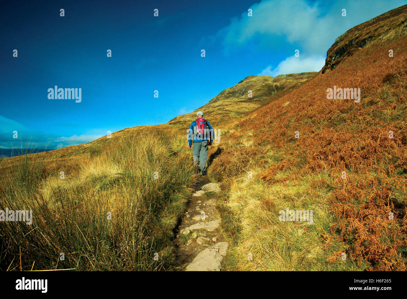 Climbing Ptarmigan Ridge, Ben Lomond, Loch Lomond and the Trossachs