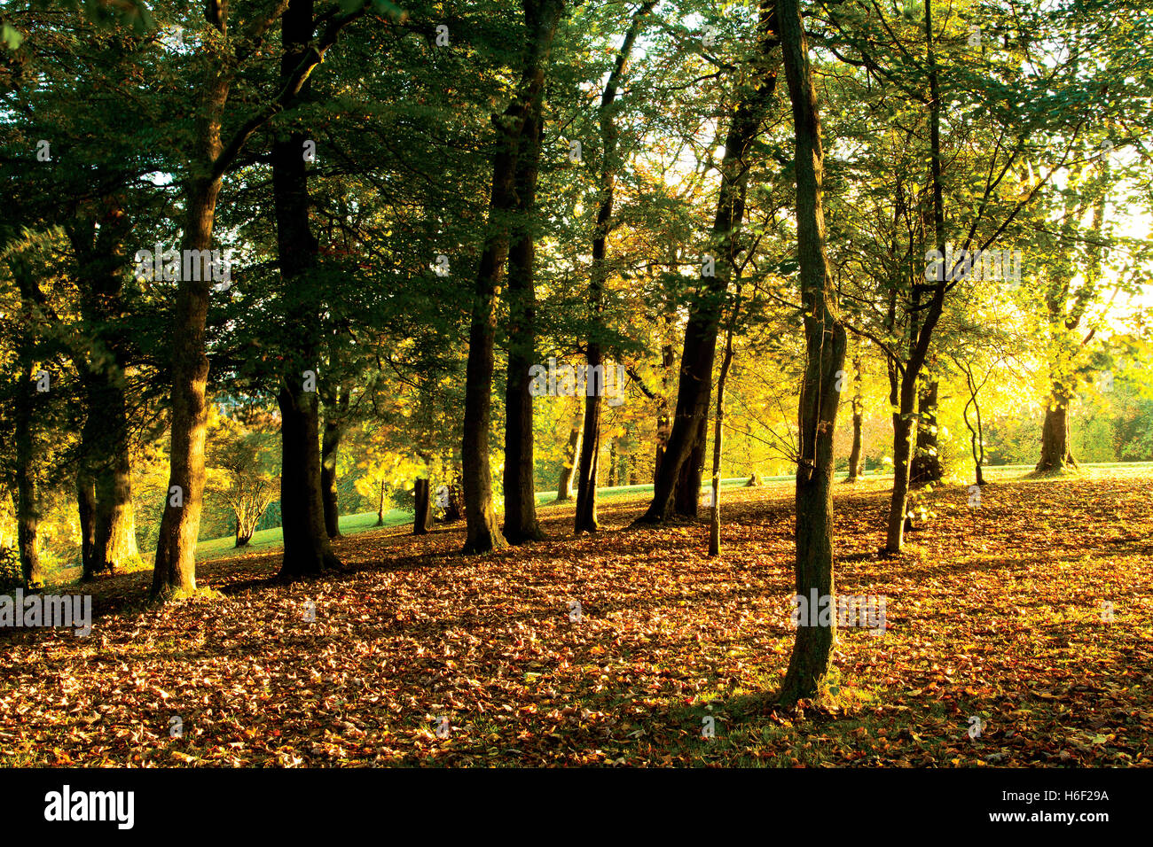 Glasgows hires stock photography and images Alamy