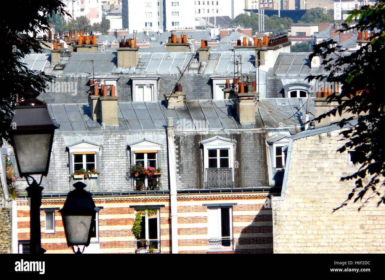 Blue roofs in Paris, France. Typical city view of historical Parisian houses. Stock Photo