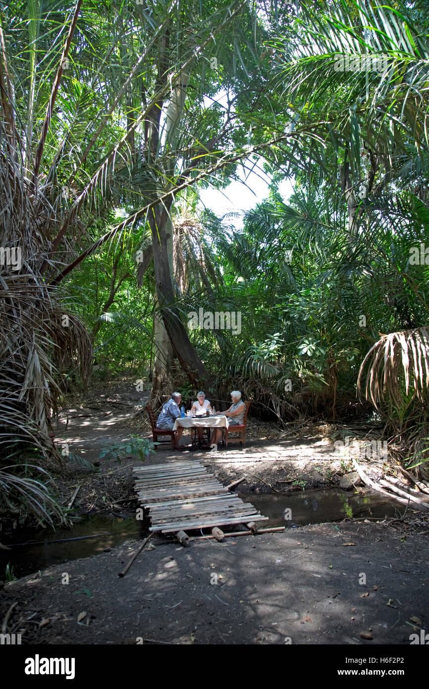 Tourists on safari eating lunch forest glade EcoLodge Meru Kenya Stock Photo