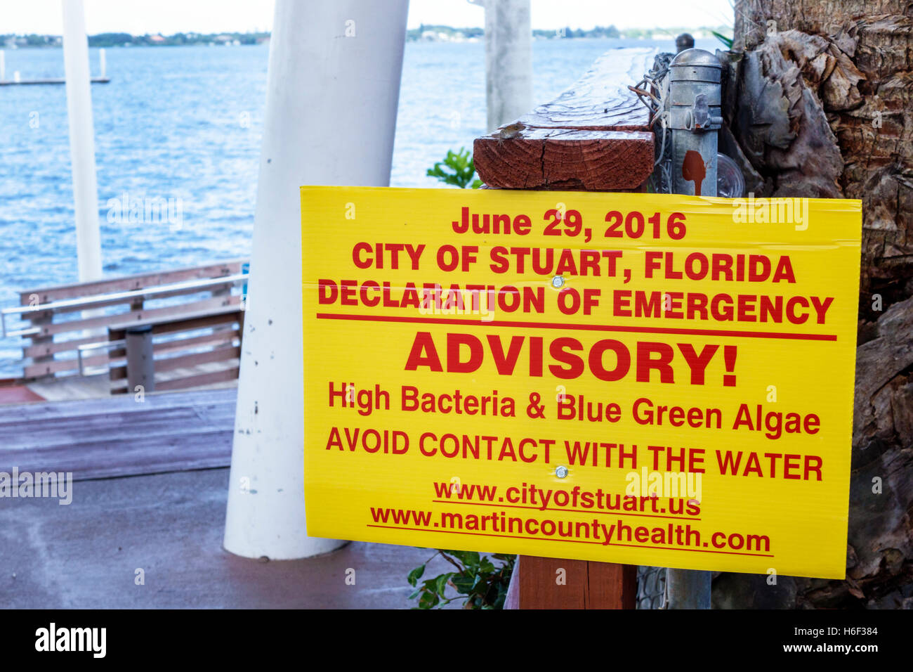 Stuart Florida,St. Saint Lucie River,city sign,declaration of emergency,high bacteria blue green algae,avoid contact with water,FL160806028 Stock Photo