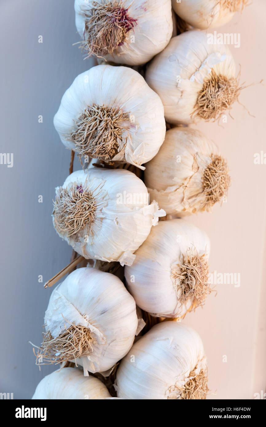 Neapolitan garlic braid leaning against the wall Stock Photo - Alamy