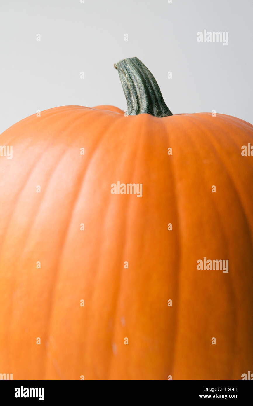 Close-up pumpkin shot Stock Photo - Alamy