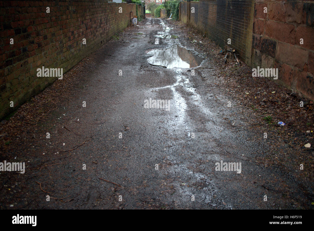 Dirty wet rain soaked Glasgow back court alley Stock Photo