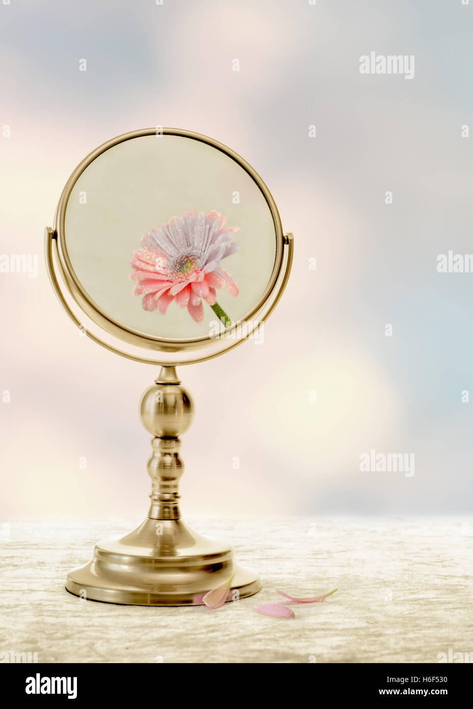 Fading beauty concept with fading flower in mirror Stock Photo Alamy