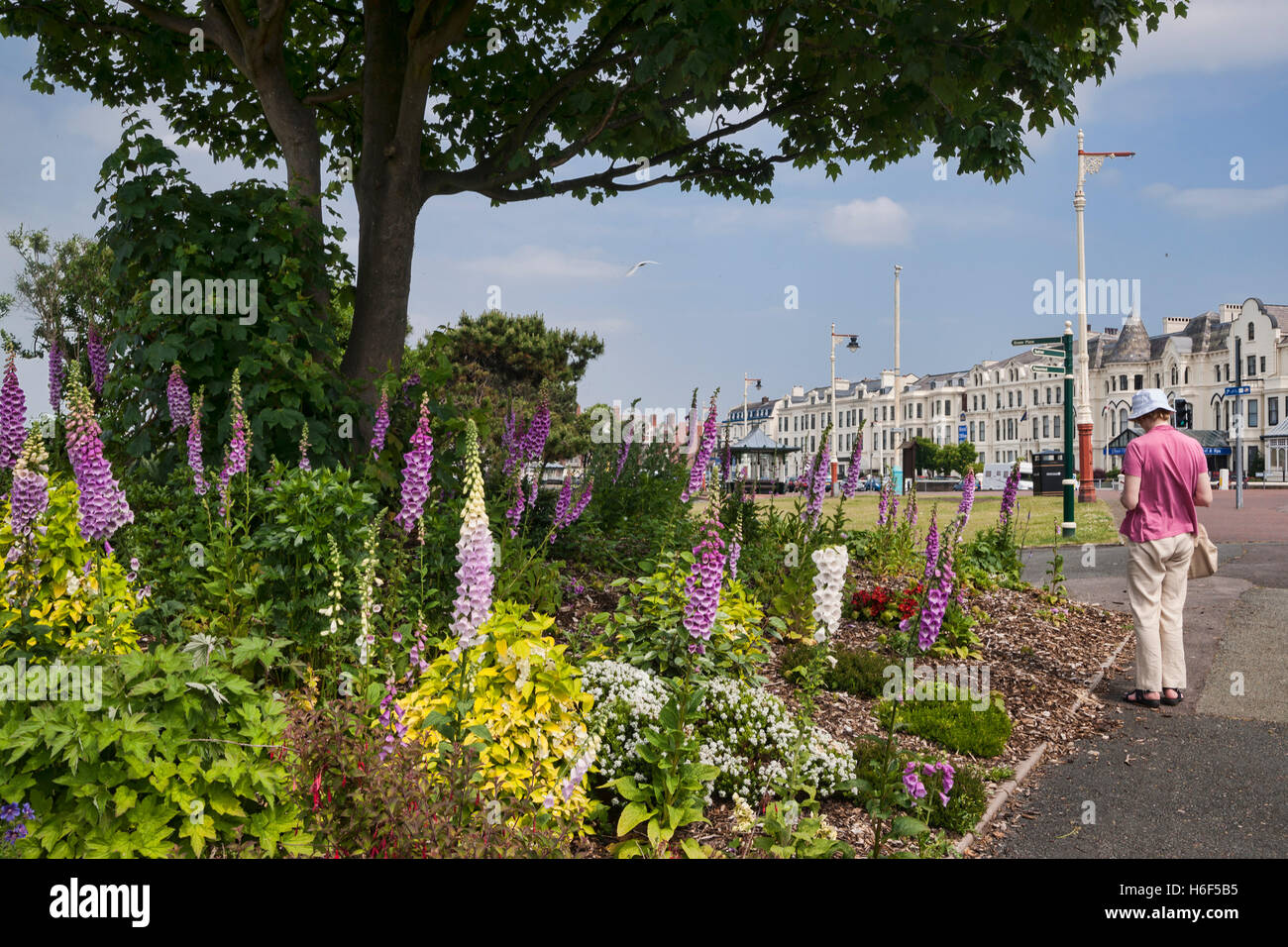 Southport promenade Gardens, parade, Lancashire, England; UK Stock