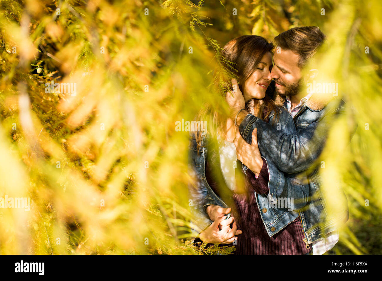 Loving young couple in the autumn park Stock Photo - Alamy