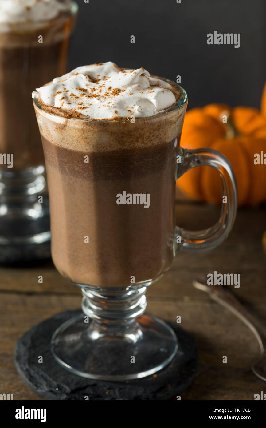 Homemade Pumpkin Spice Hot Chocolate with Whipped Cream Stock Photo
