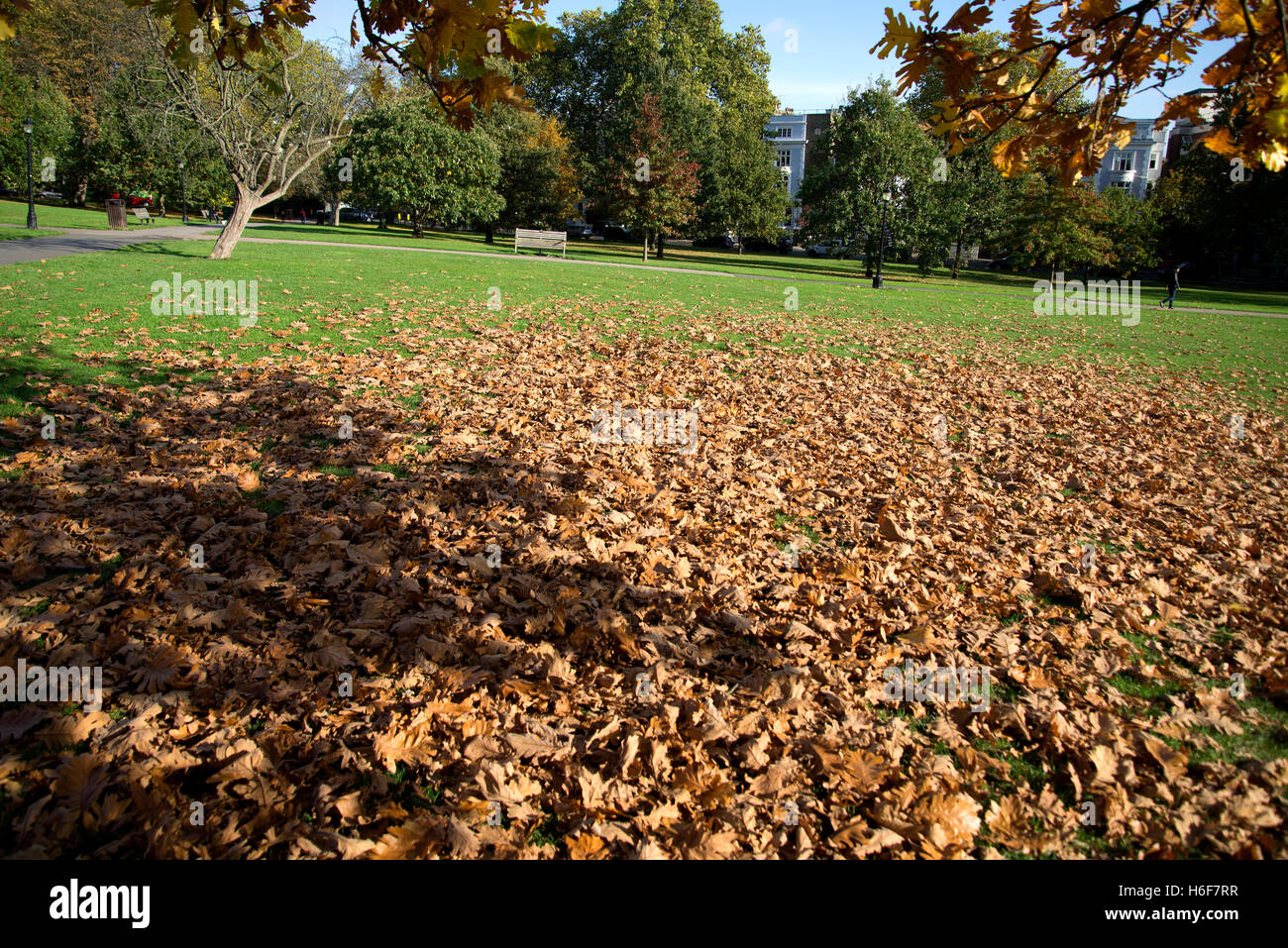 Autumn's seasonal changes on Primrose Hill in London. Stock Photo
