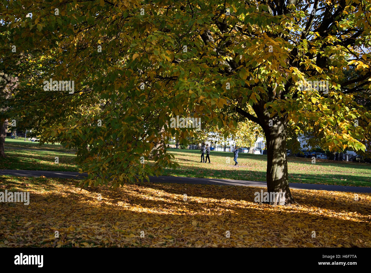 Enjoying a sunny Autumn day on Primrose Hill, London. Stock Photo