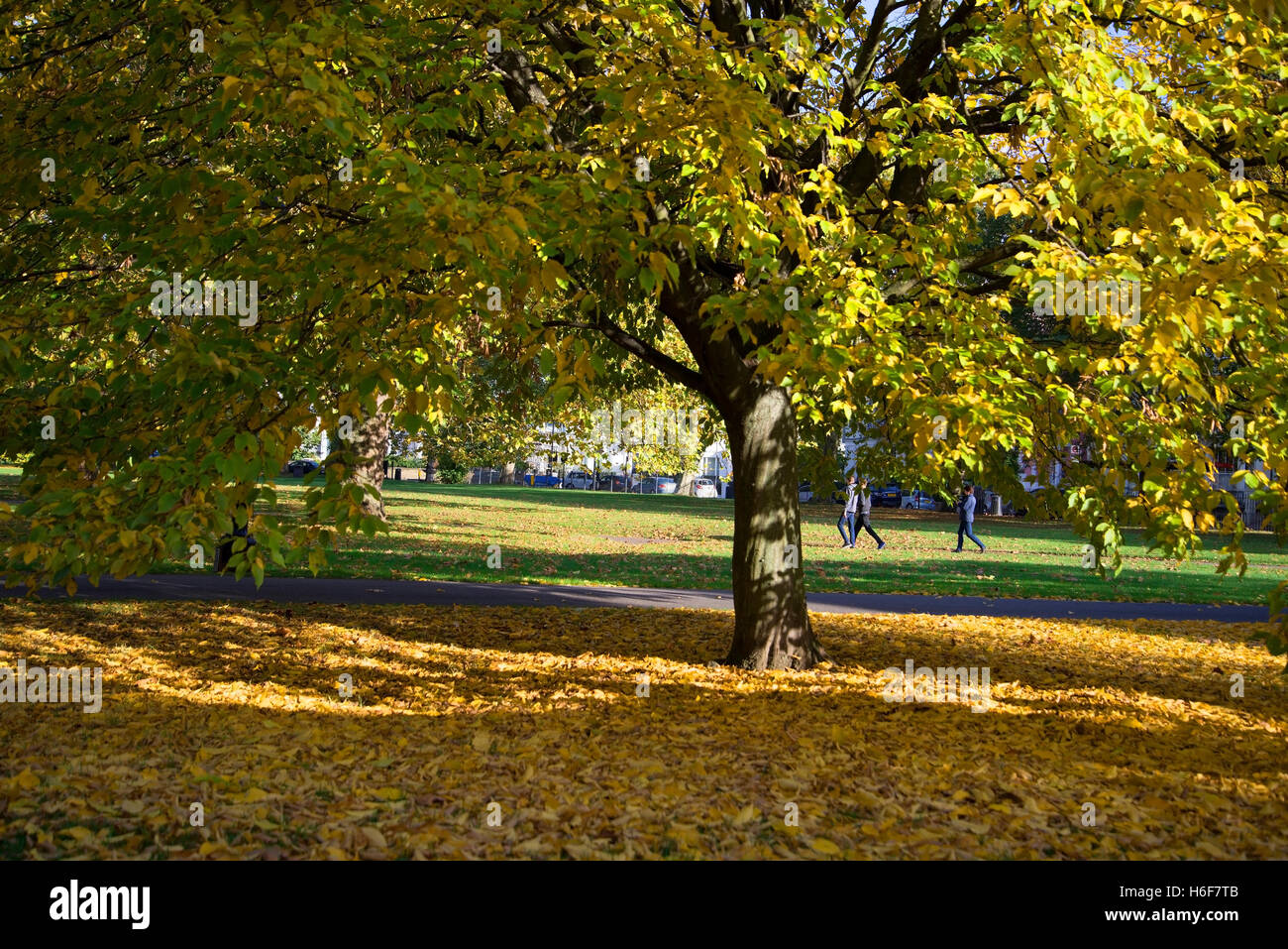 Enjoying a sunny Autumn day on Primrose Hill, London Stock Photo