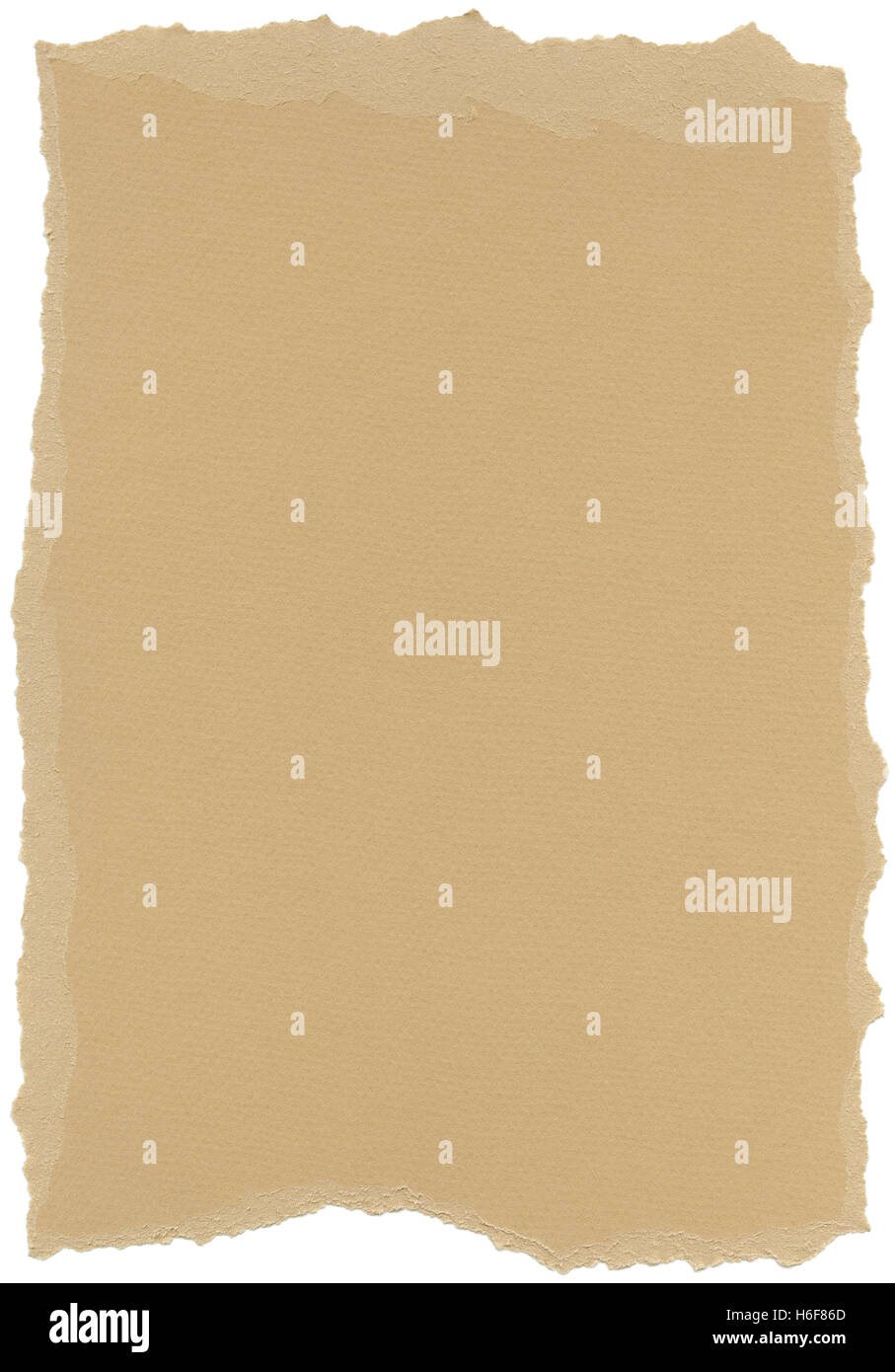 Texture of beige fiber paper with torn edges. Isolated on white background. Scanned at 1200dpi using a professional scanner. Stock Photo