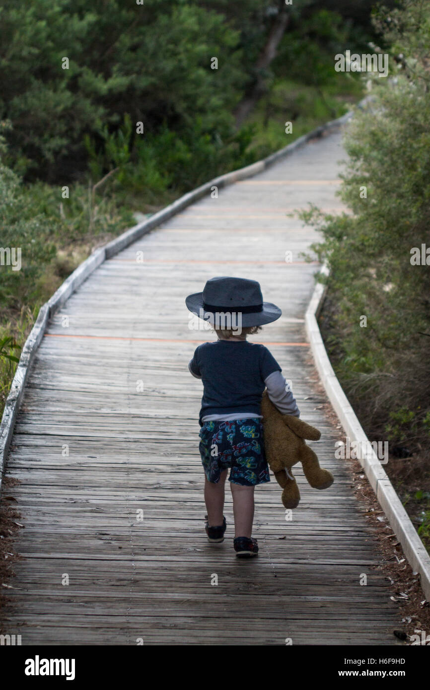 Two year old boy wearing hat carrying teddy bear walking on boardwalk through sand dunes with trees either side NSW Australia Stock Photo