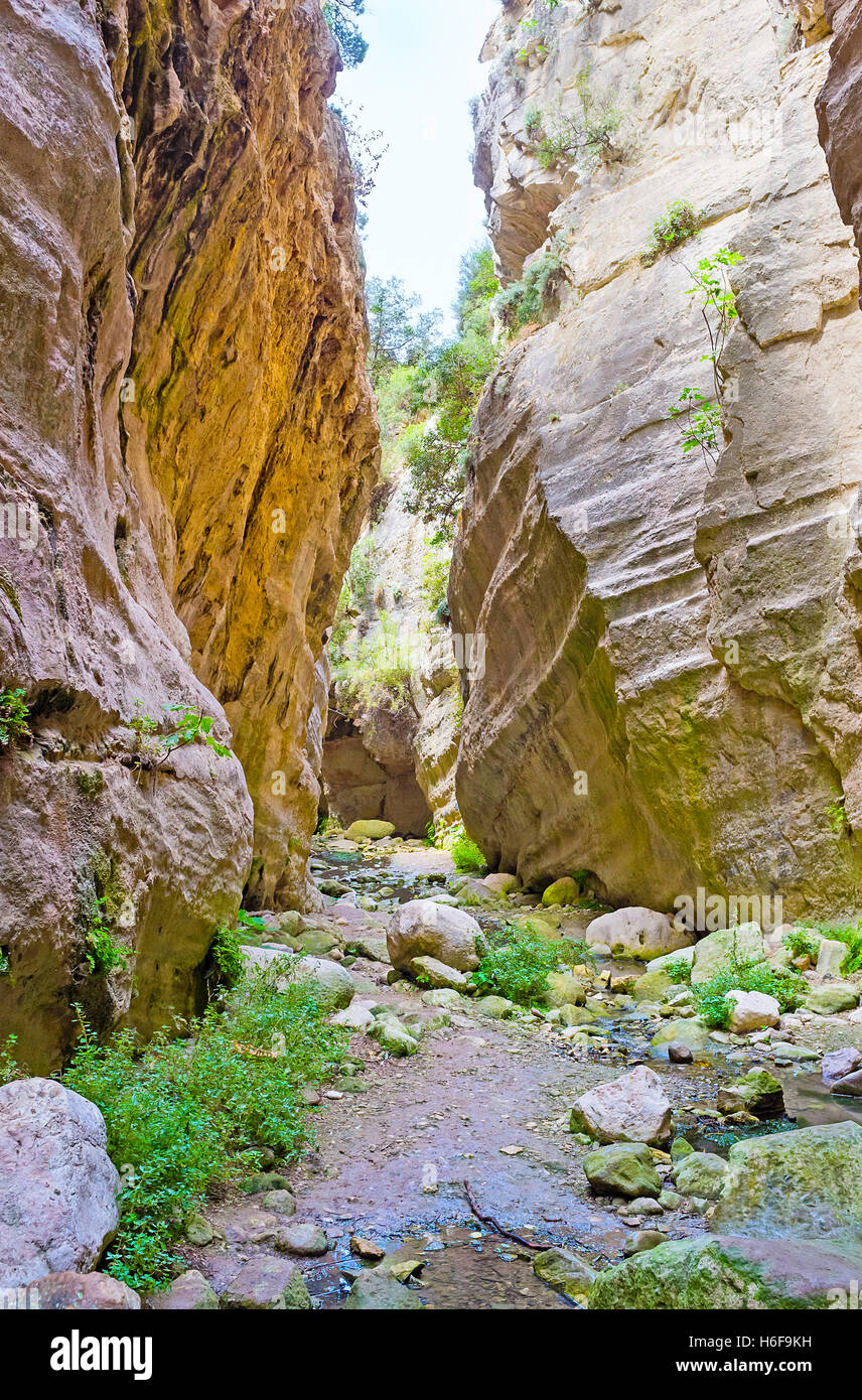 Avakas Gorge is the best place to discover unusual nature of Cyprus ...