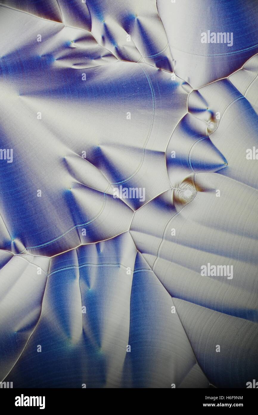 Crystals of Vitamin C, ascorbic acid. Microscope image Stock Photo Alamy