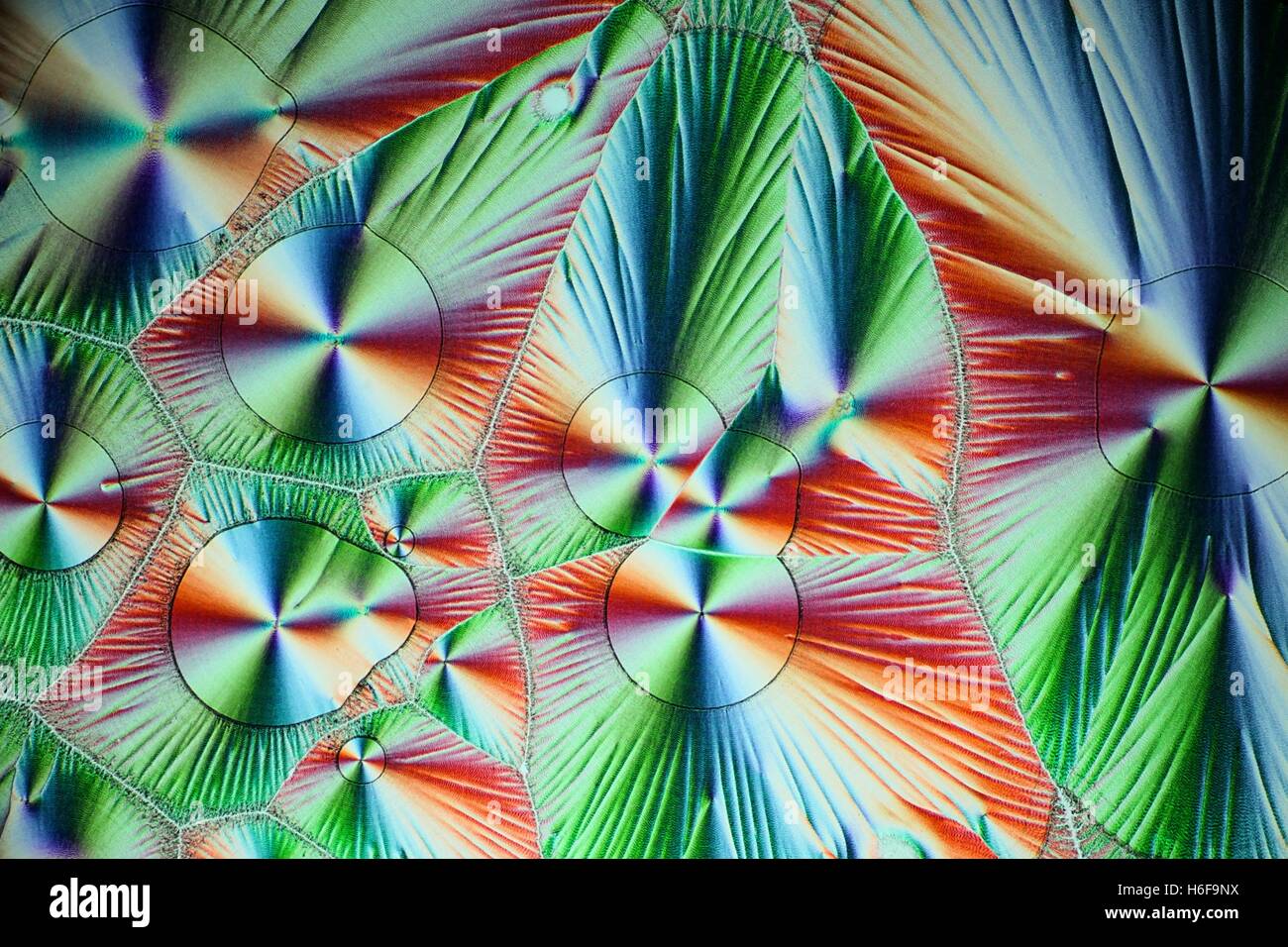 Crystals of Vitamin C, ascorbic acid. Microscope image Stock Photo Alamy