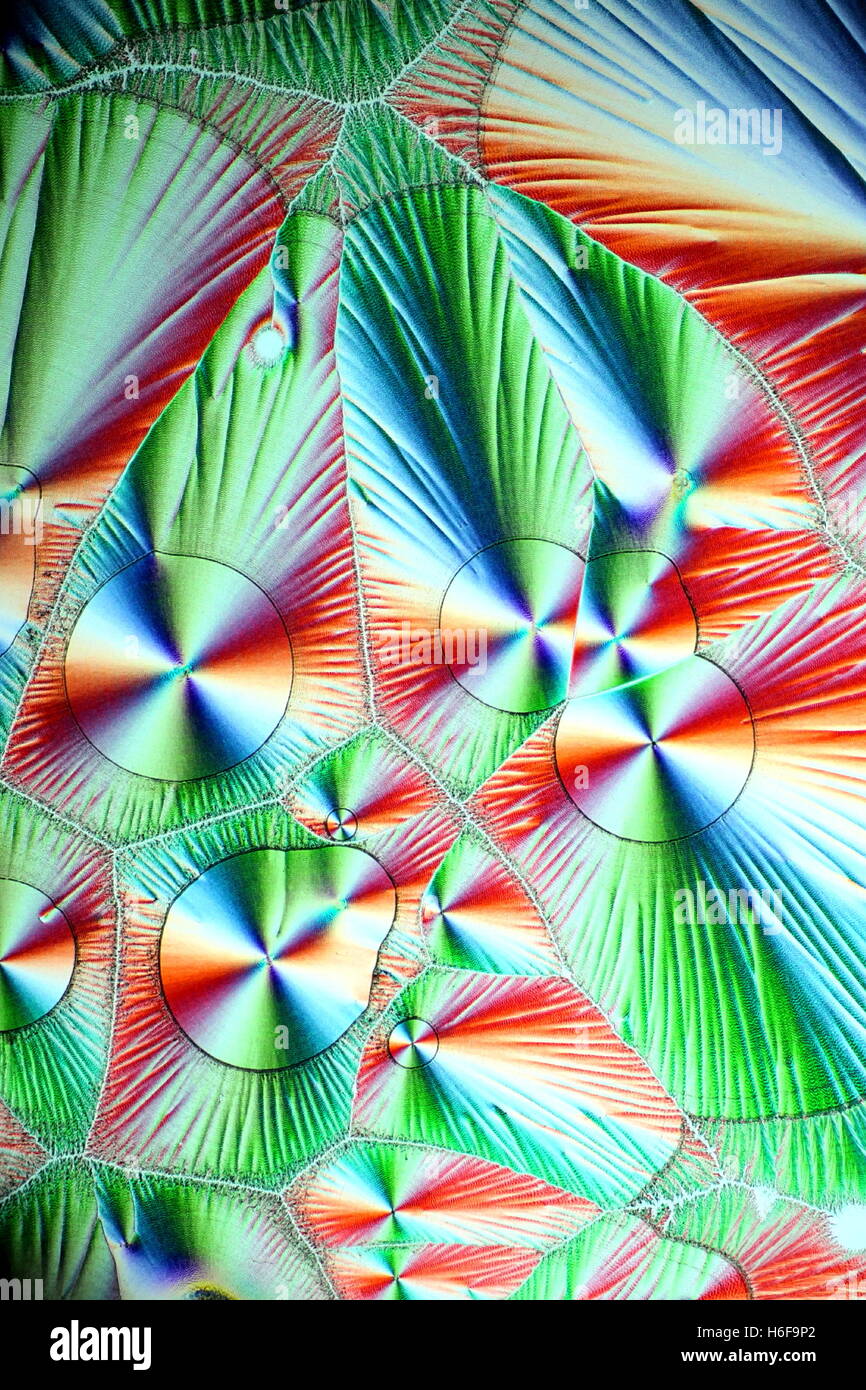 Crystals of Vitamin C, ascorbic acid. Microscope image Stock Photo Alamy