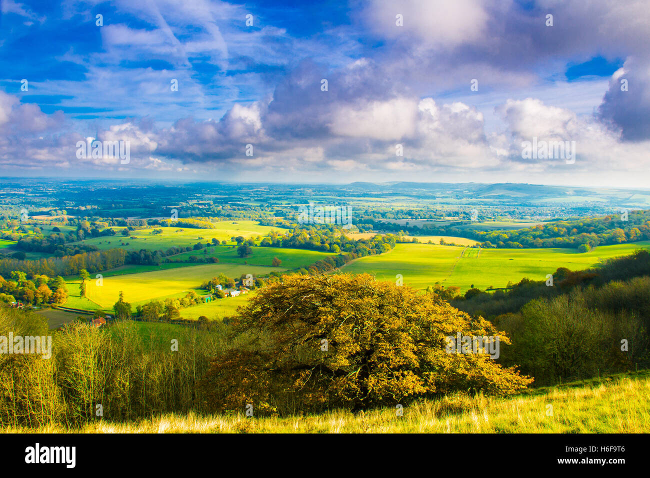 The view of Sussex Weald from Chanctonbury ring South Downs West Sussex, England Stock Photo