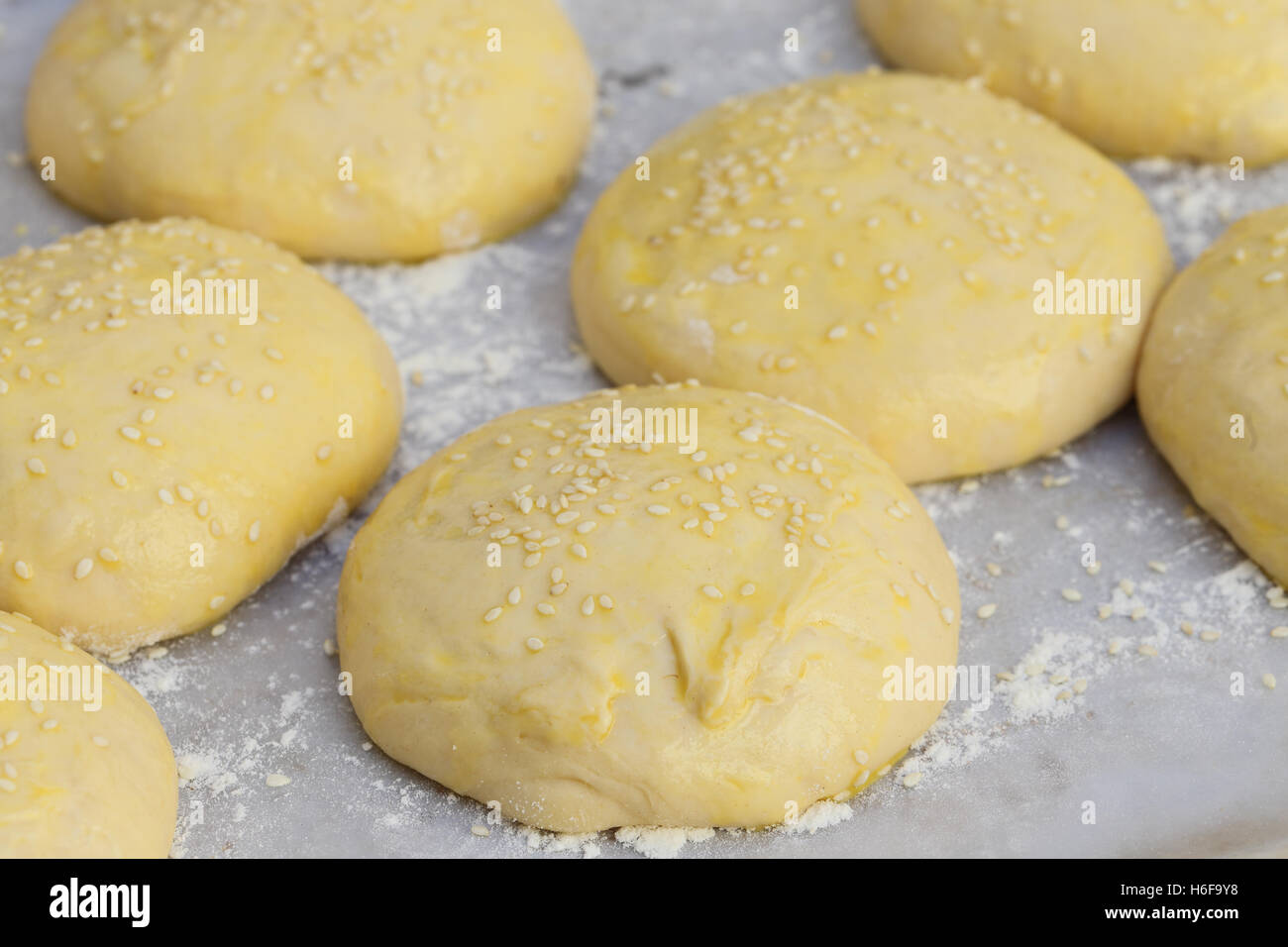 Burger-bun dough or batter ready for the oven, sprinkled with sesame seeds Stock Photo
