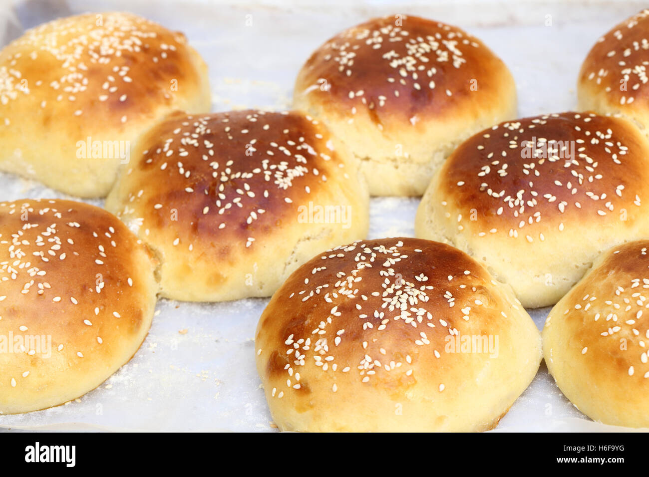 Freshly made sesame seed topped burger buns, fresh from the oven and