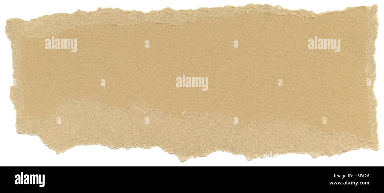 Texture of beige fiber paper with torn edges. Isolated on white background. Scanned at 1600dpi using a professional scanner. Stock Photo