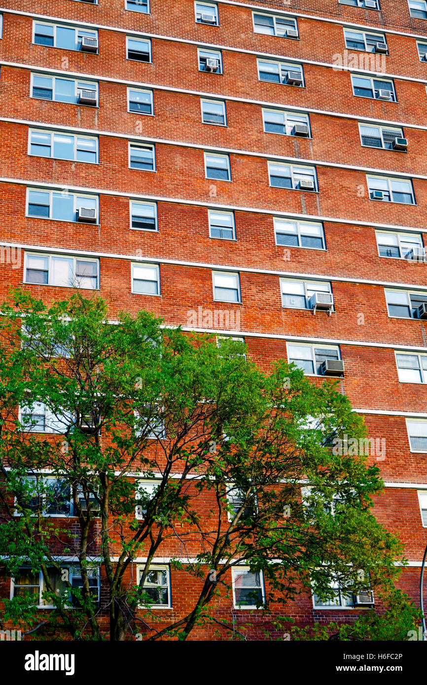 Cluster of high rise apartment building's windows Stock Photo Alamy