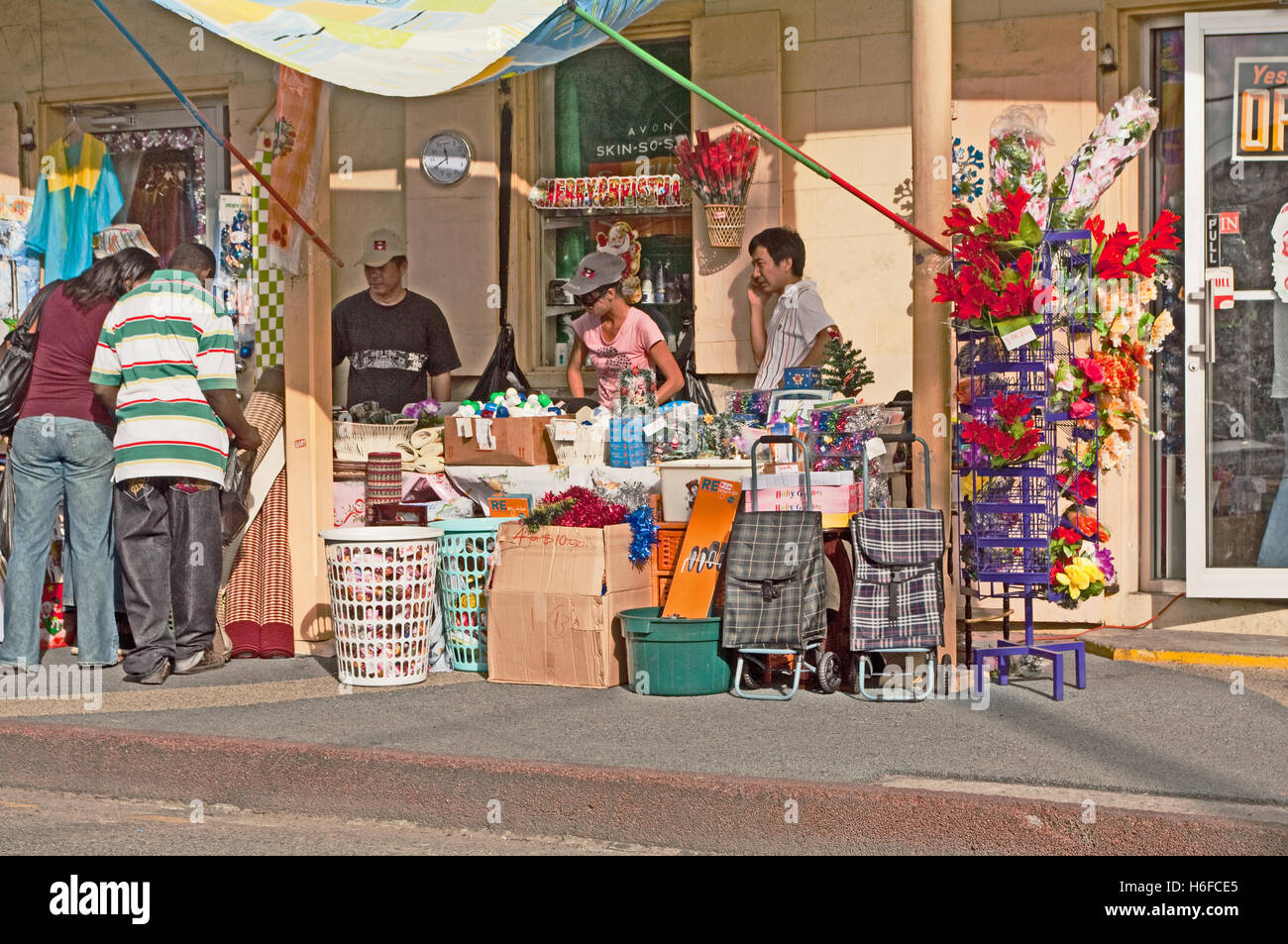 Are Dogs Allowed In St Johns Flea Market