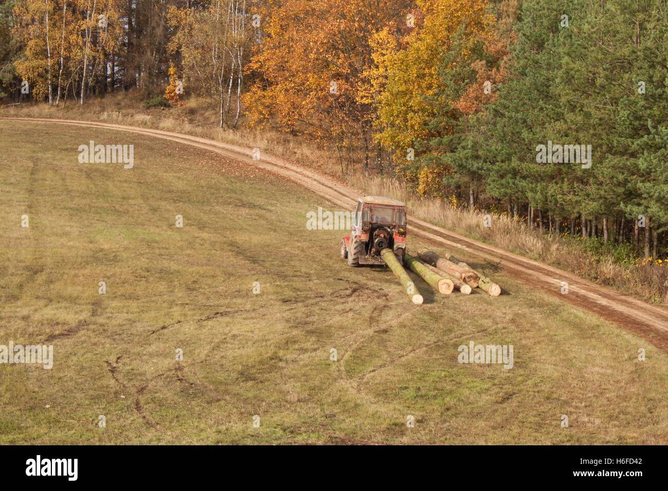 Tractor pulls the fallen tree. Working in the forest. Tractor is ...
