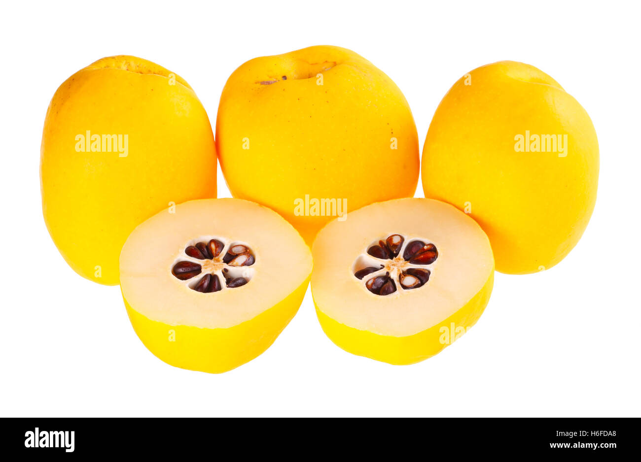 Five whole and cut yellow, ripe fruit of the flowering or Japanese quince (Chaenomeles hybrids) isolated against a white backgro Stock Photo