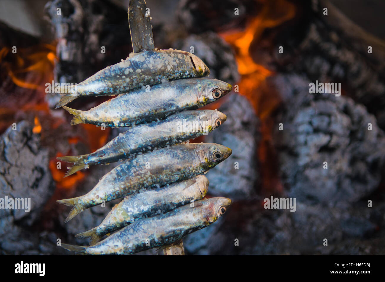 Outdoor charcoal grilled Sardines Stock Photo Alamy