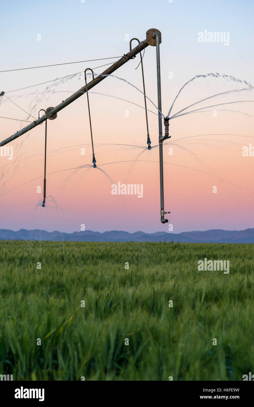 Center pivot irrigation africa hires stock photography and images Alamy