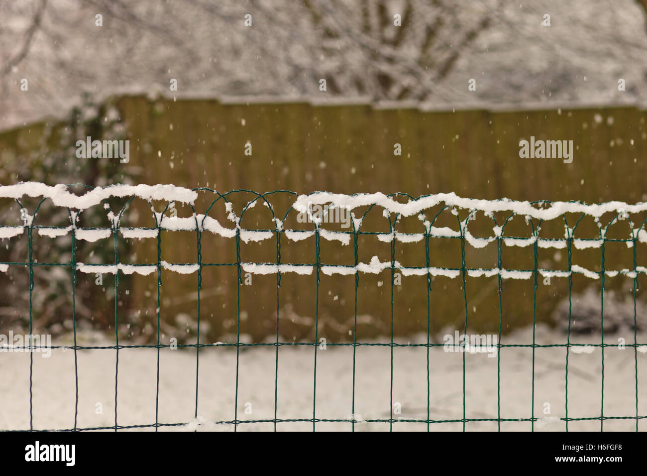 Falling snow lying on a fence. Stock Photo