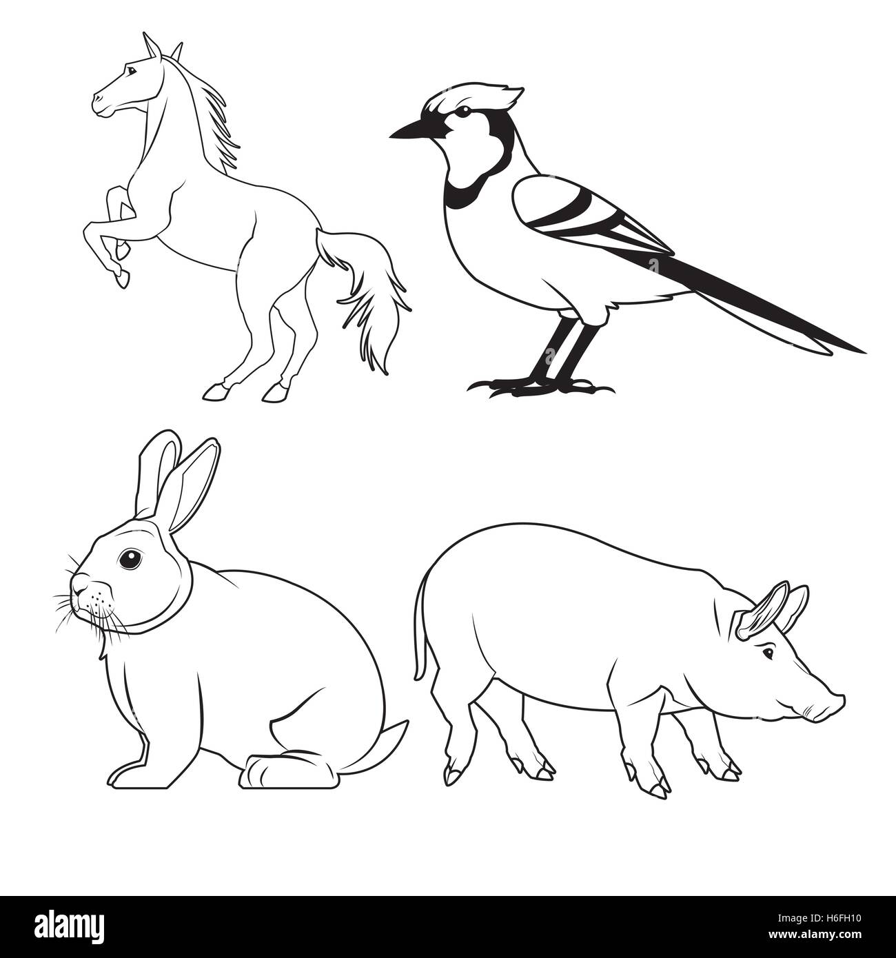 Black and white animals icon set Stock Vector Image & Art Alamy