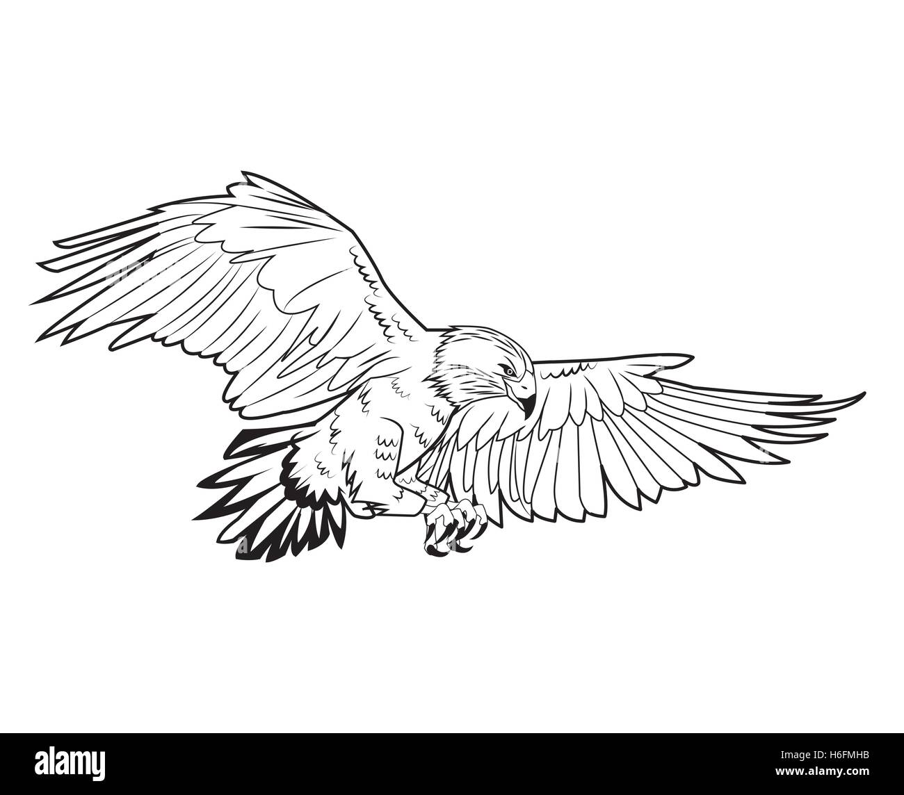 Tattoo Art Hand Drawing Eagle Black and White with Stock Vector   Illustration of eagle prey 141579901