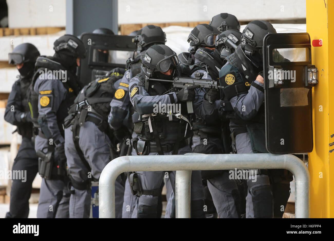 Members of the Garda Emergency Response Unit and Regional Armed Support