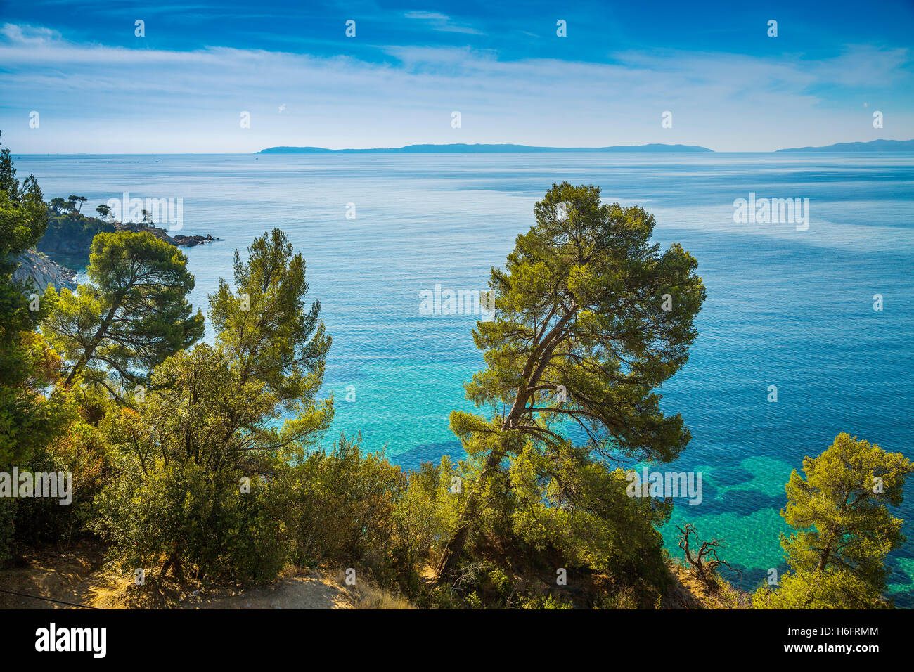 Mediterranean Sea and pines, Corniche des Maures. Le Lavandou. Var department, Provence Alpes Cote d'Azur. French Riviera France Stock Photo