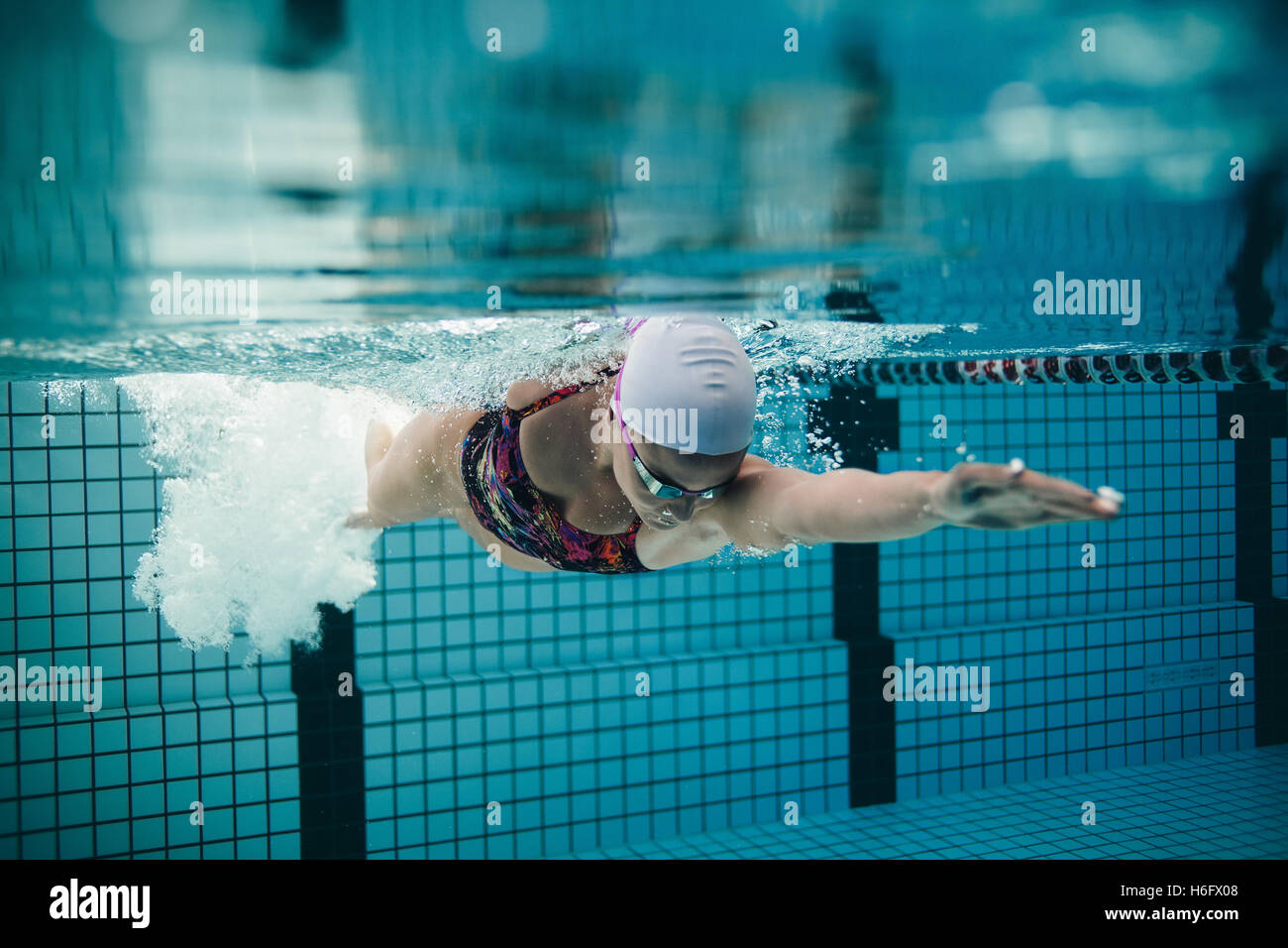 Underwater shot of female athlete swimming in pool. Young woman swimming the front crawl in a pool. Stock Photo