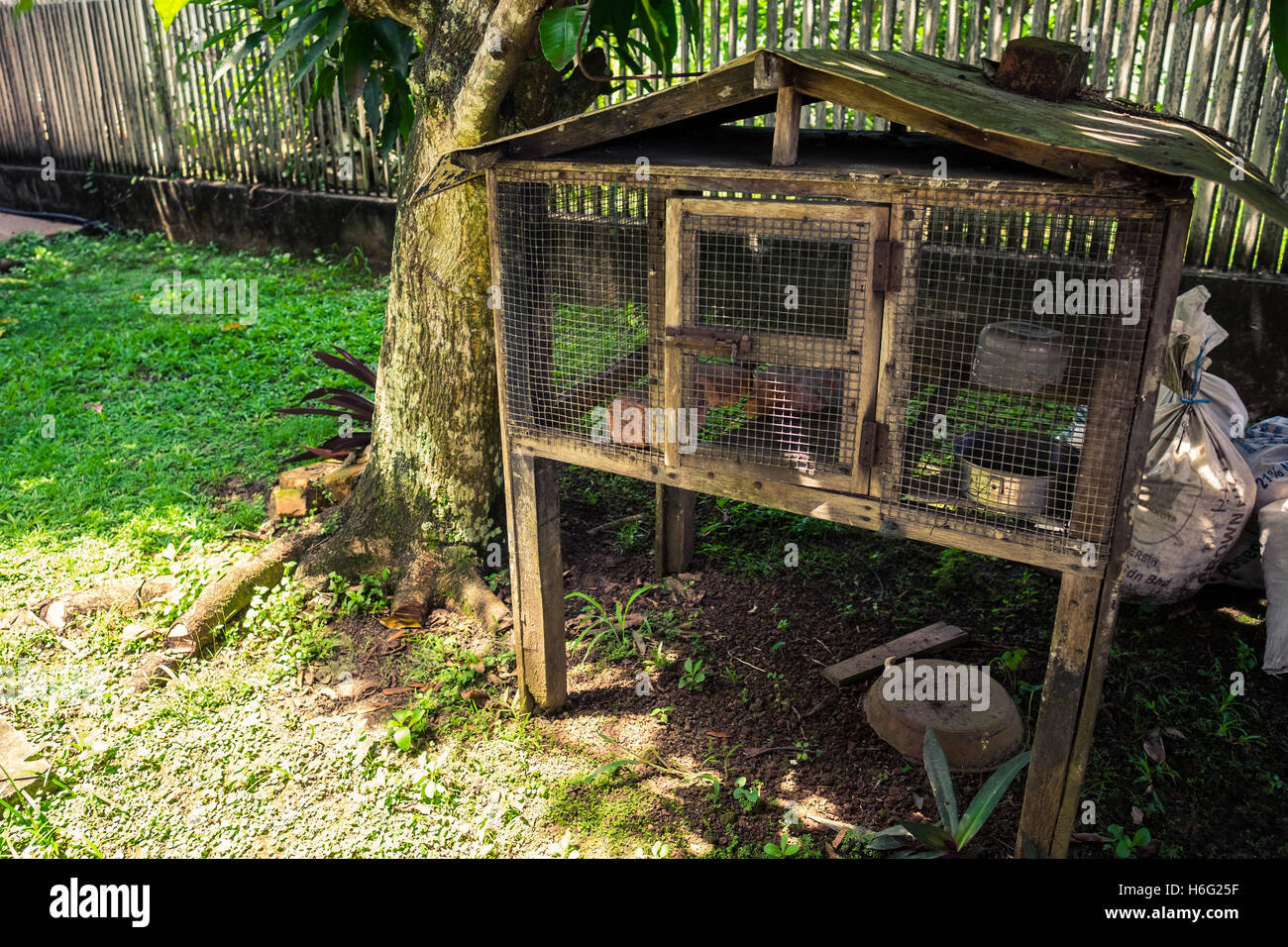Chicken Wood Cage Hi-Res Stock Photography And Images - Alamy