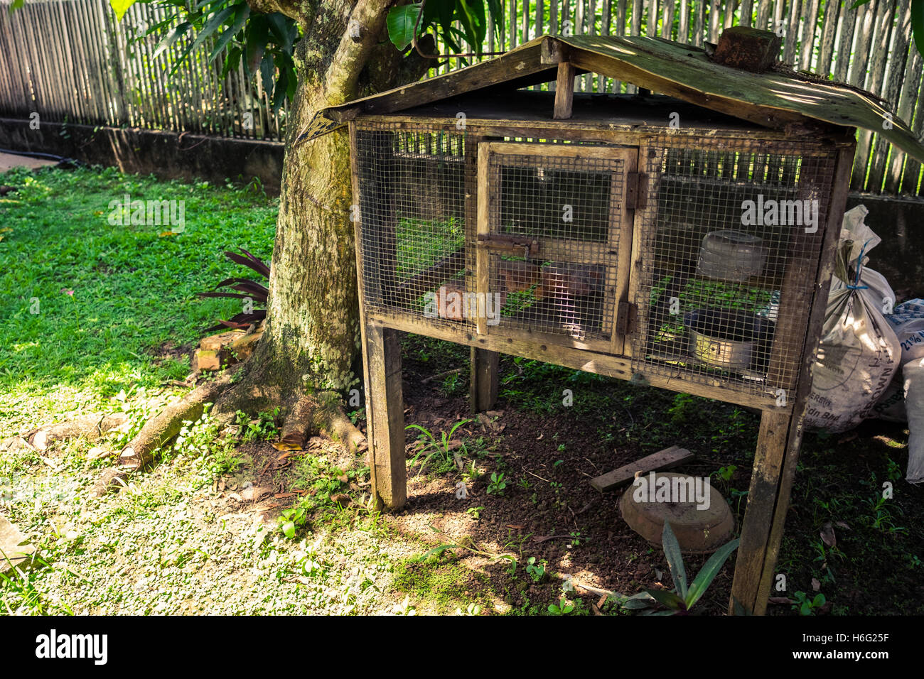 Chicken wood cage hi-res stock photography and images - Alamy Chicken Wood Cage Hi-Res Stock Photography And Images - Alamy