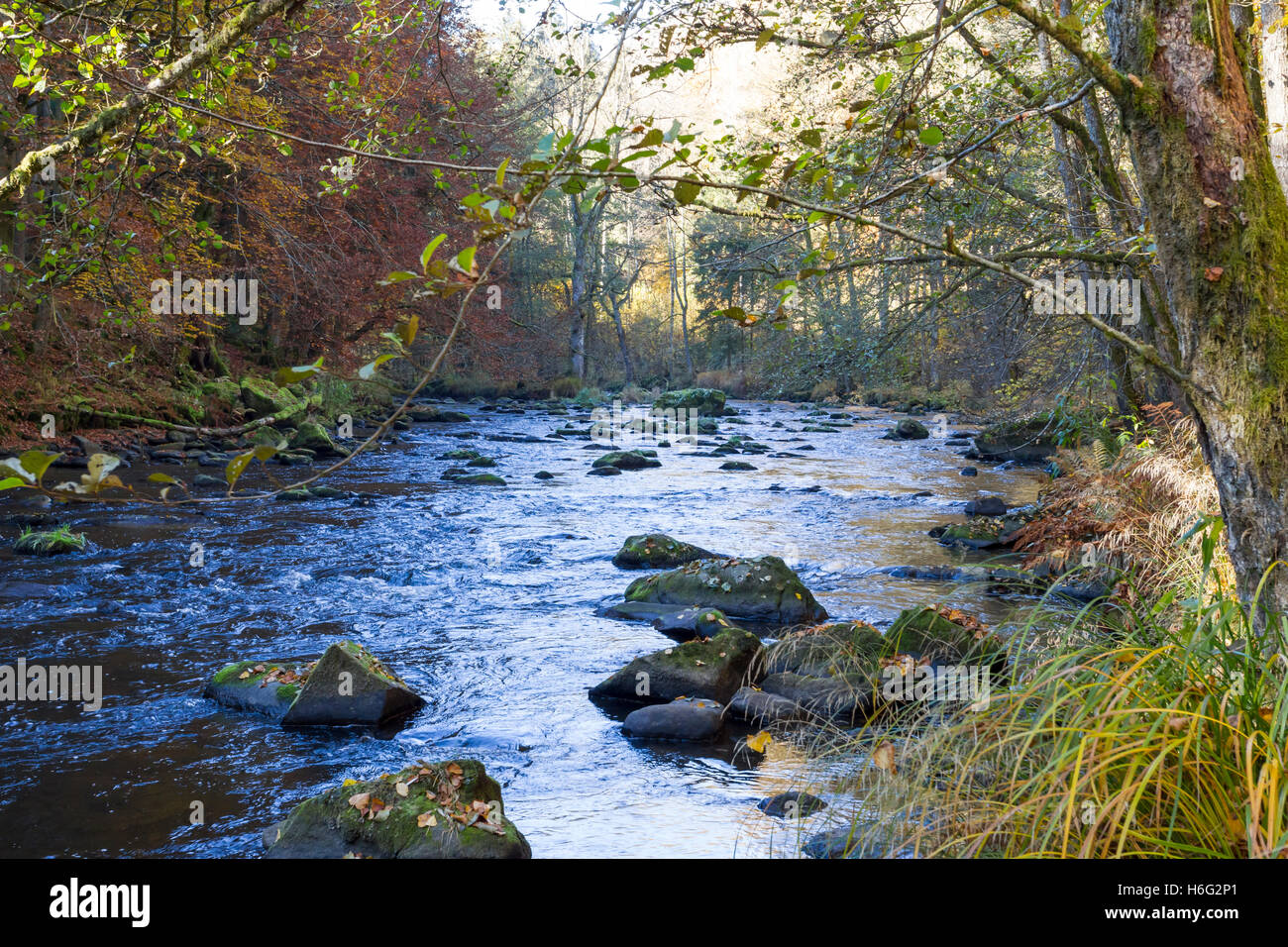 Fluss Ilz im Bayerischen Wald,River Ilz in the Bavarian Forest Stock Photo