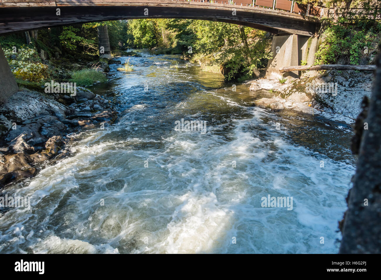 River Rushes Uk River rushes hi-res stock photography and images - Alamy