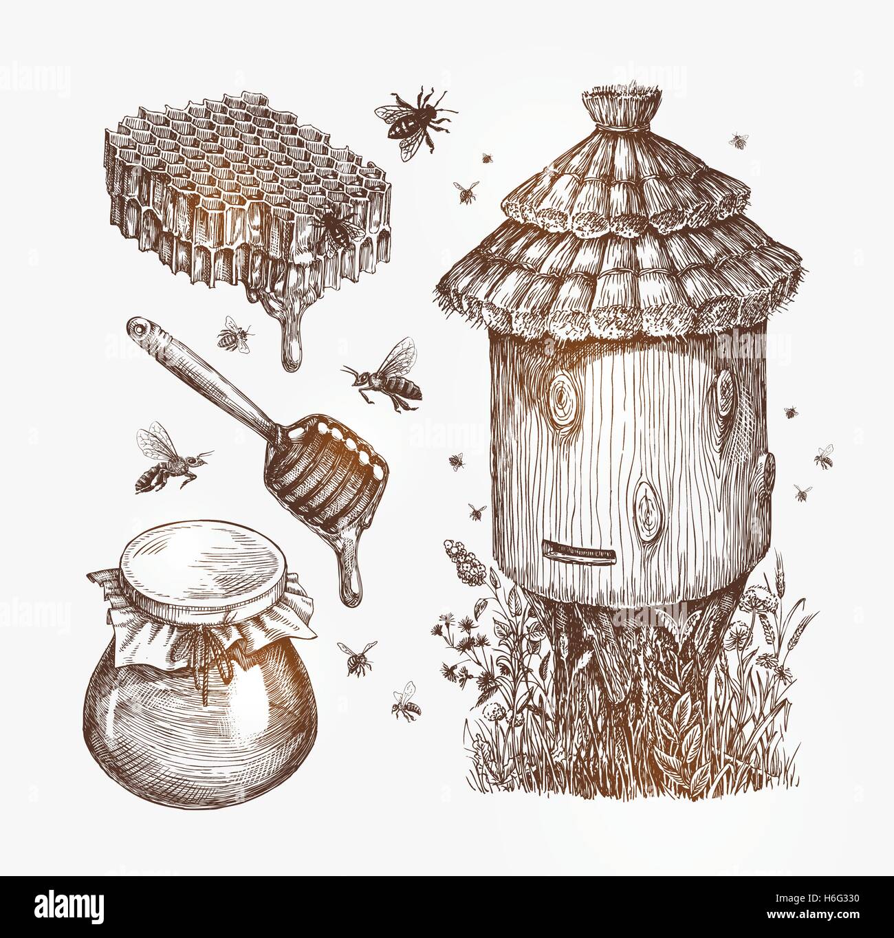 Honey, beekeeping, bees Collection sketch vector illustration Stock Vector