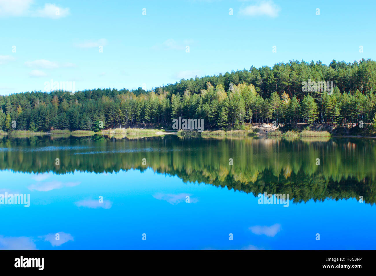 landscape with forest lake and reflection on the water surface Stock ...