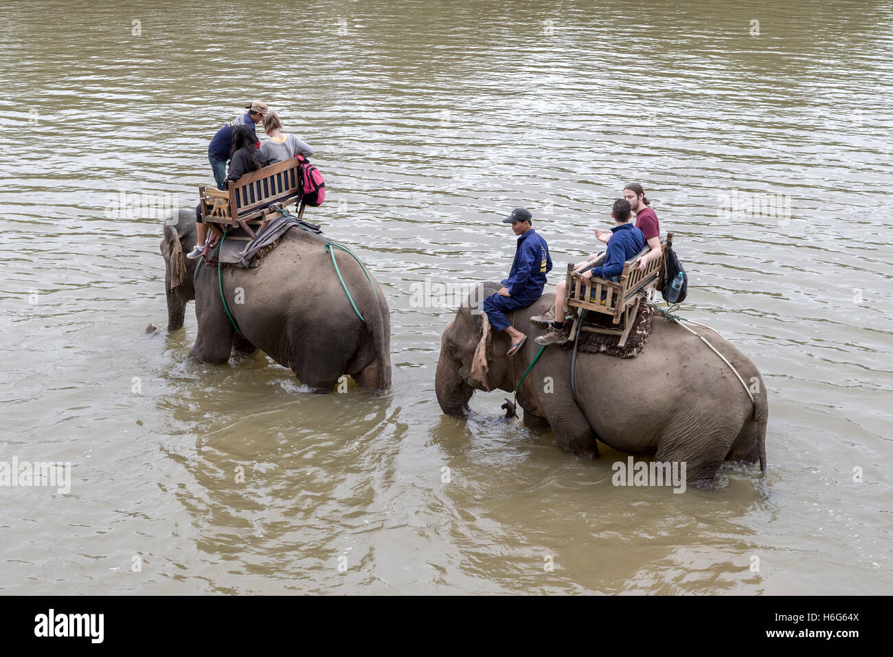 Asian (Asiatic) elephant, Elephas maximus, crossing Nam Khan river, with tourists, Elephant Village, Ban Xieng Lom, Luang Prabang, Laos Stock Photo