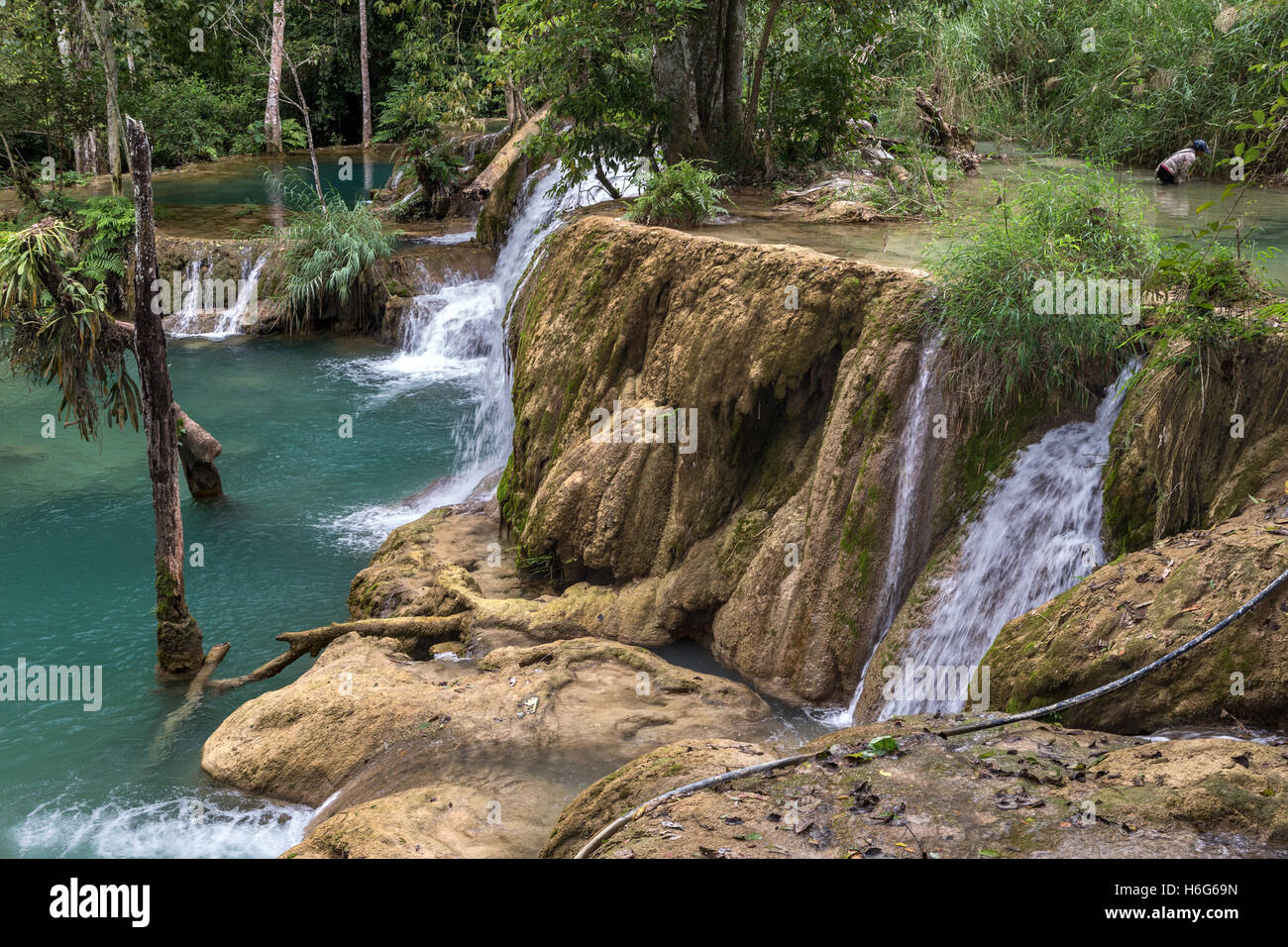 Woman collecting edible water weed, Tad Sae waterfalls, tributary of ...