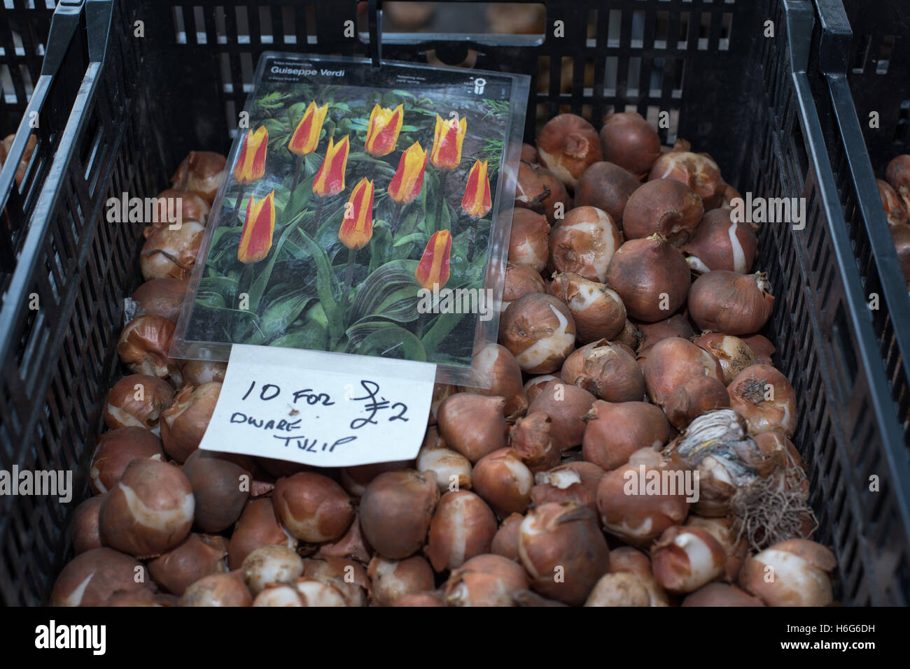 Flower stall, Friday street market, Brentwood, Essex Stock Photo Alamy