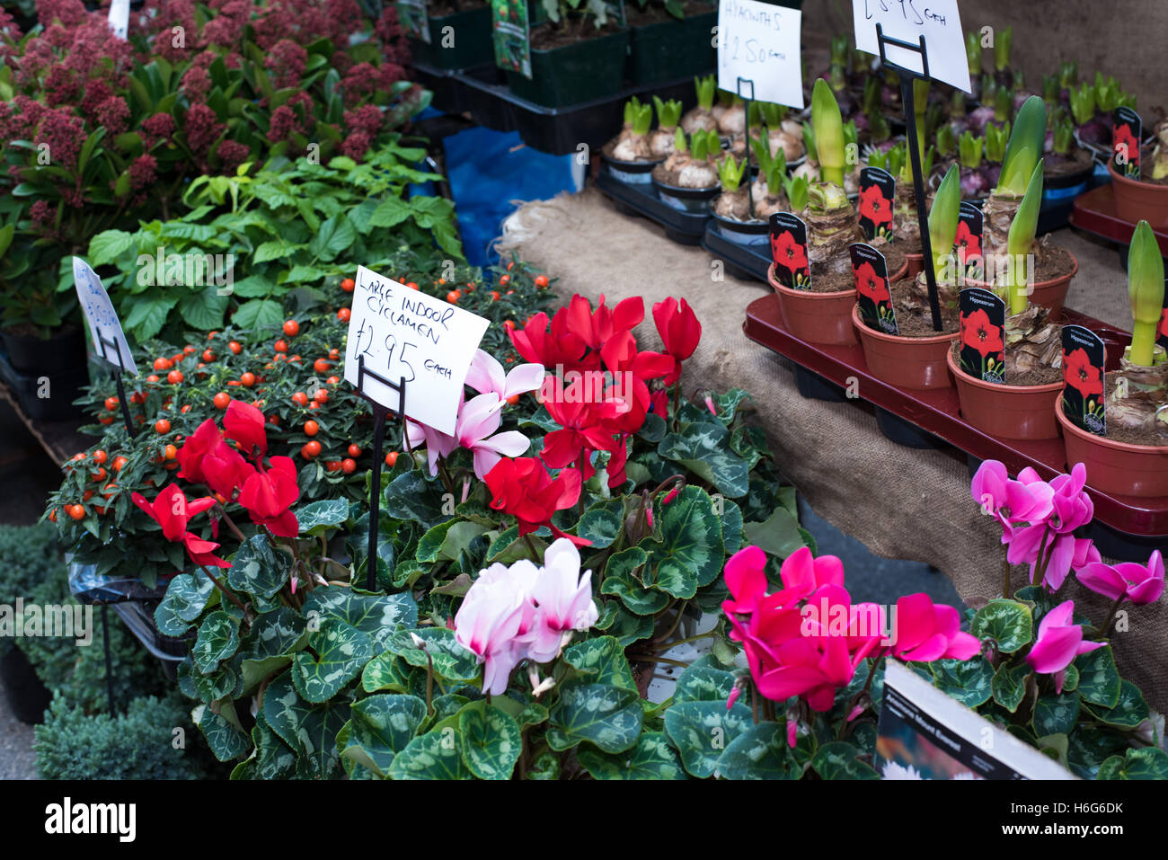 Essex street market hires stock photography and images Alamy