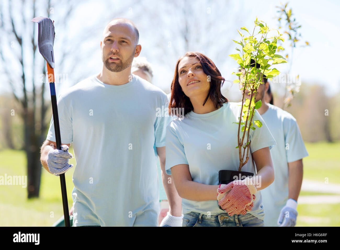 group of volunteers with trees and rake in park Stock Photo Alamy