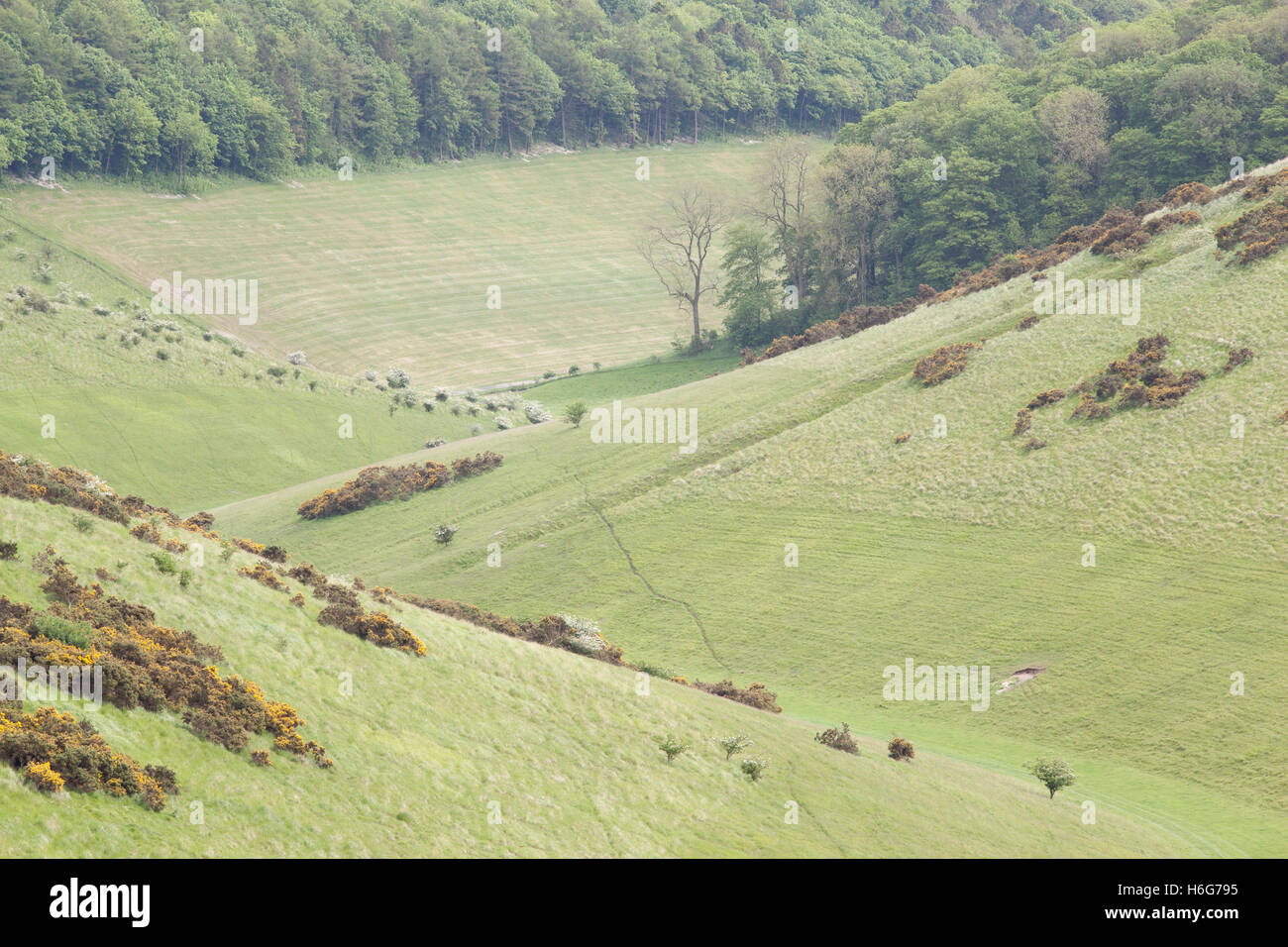 View down Well Dale near Warter in the Yorkshire Wolds Stock Photo